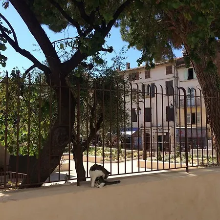 Palme D'hote *