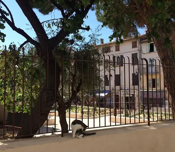 Palme D'hote *